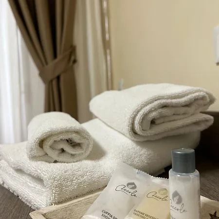 Hotel 55 Aira 4*